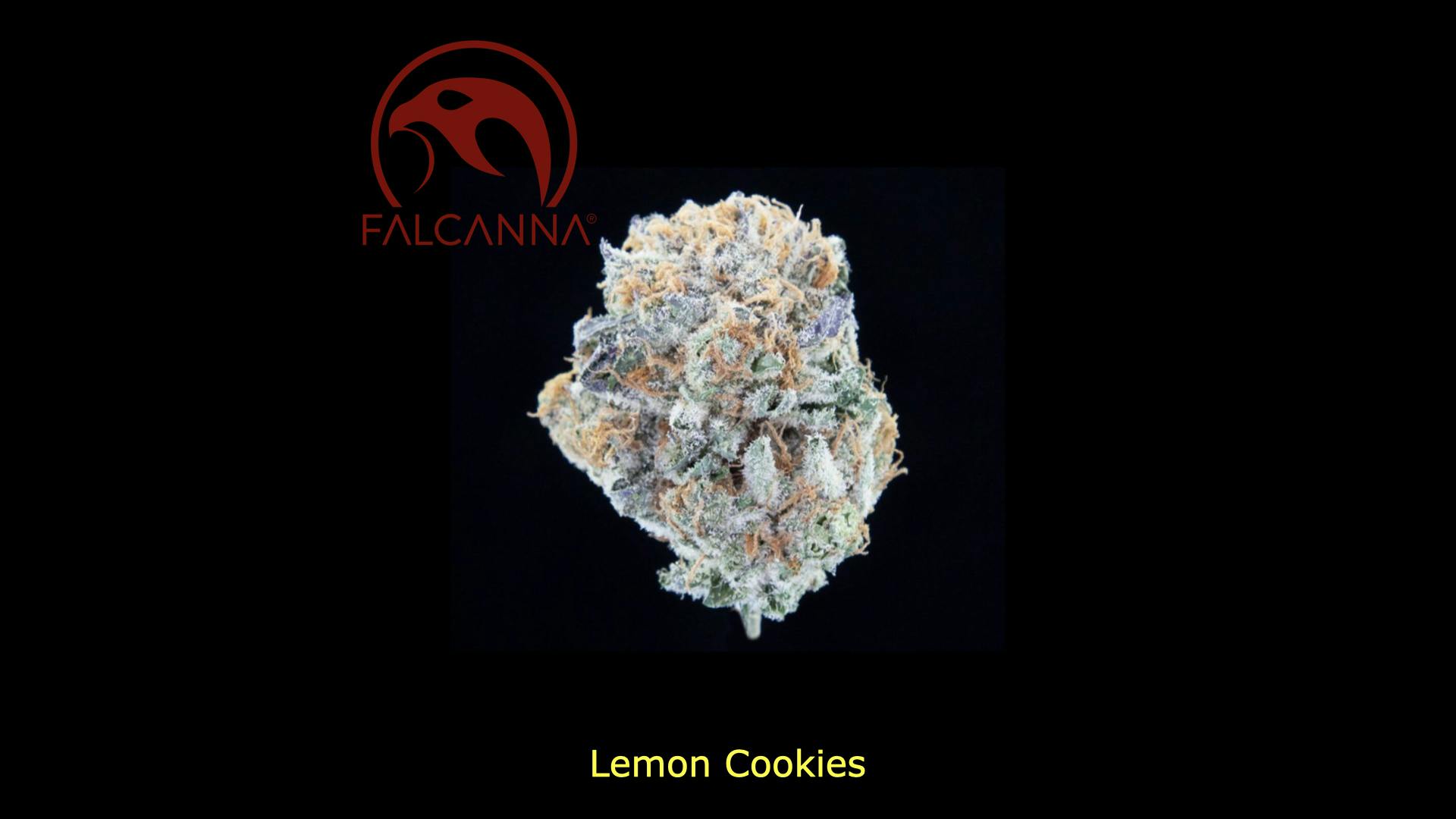 3.5g Lemon Cookies - Falcanna Pre-Pack Flower