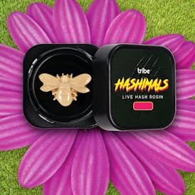 Juicy Froots - Hashimals - Live Hash Rosin - Bumble Bee - 1g
