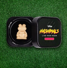 Juicy Froots - Hashimals - Live Hash Rosin - Frog - 1g