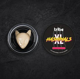 Juicy Froots - XL Hashimals - Live Hash Rosin - Fox - 5g
