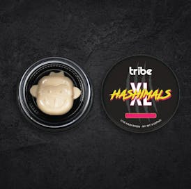 Juicy Froot - XL Hashimals - Live Hash Rosin - Monkey - 5g