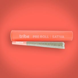 Garlic Fritter - Sativa - Flower Pre Roll - 1g
