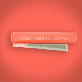 Garlic Fritter - Sativa - Flower Pre Roll - 1g