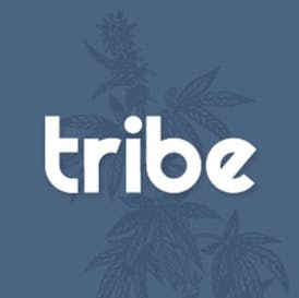 Tribe Splits - Juicy Froots & The Bling Live Hash Rosin - 2g