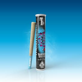 Traditional - Spray Paint Pre-Roll 1g