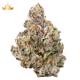 Galactic Warheadz
