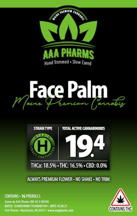 Face Palm - Pre Roll