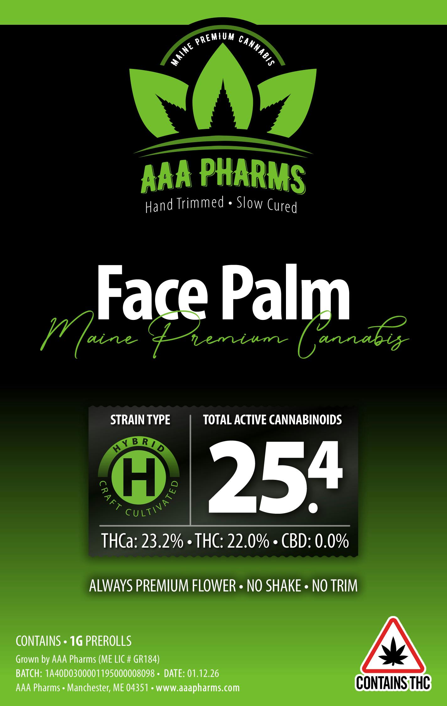 Face Palm - Pre Roll
