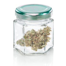 Peach Crescendo - 3.5g Flower