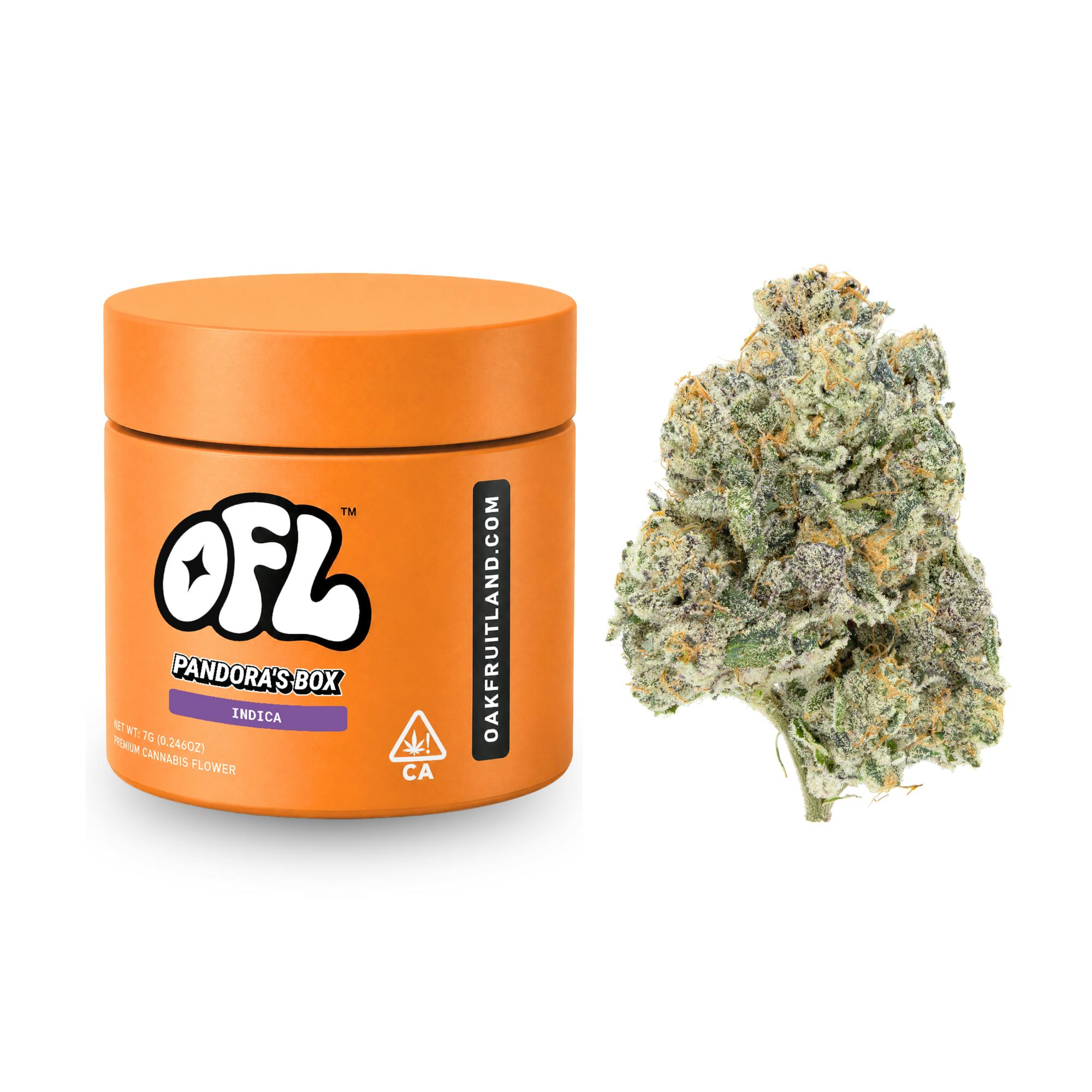 Pandora's Box | Big Buds Jar | 7g