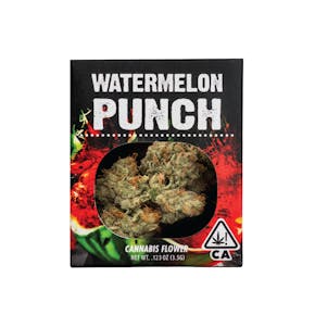 Watermelon Punch | 3.5g | Decibel Gardens