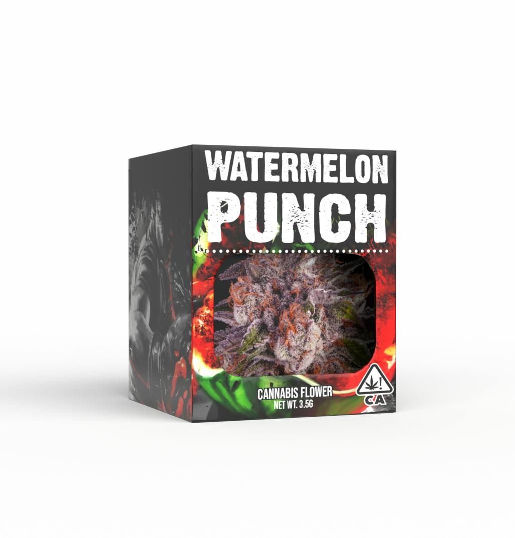 Decibel Gardens — Watermelon Punch