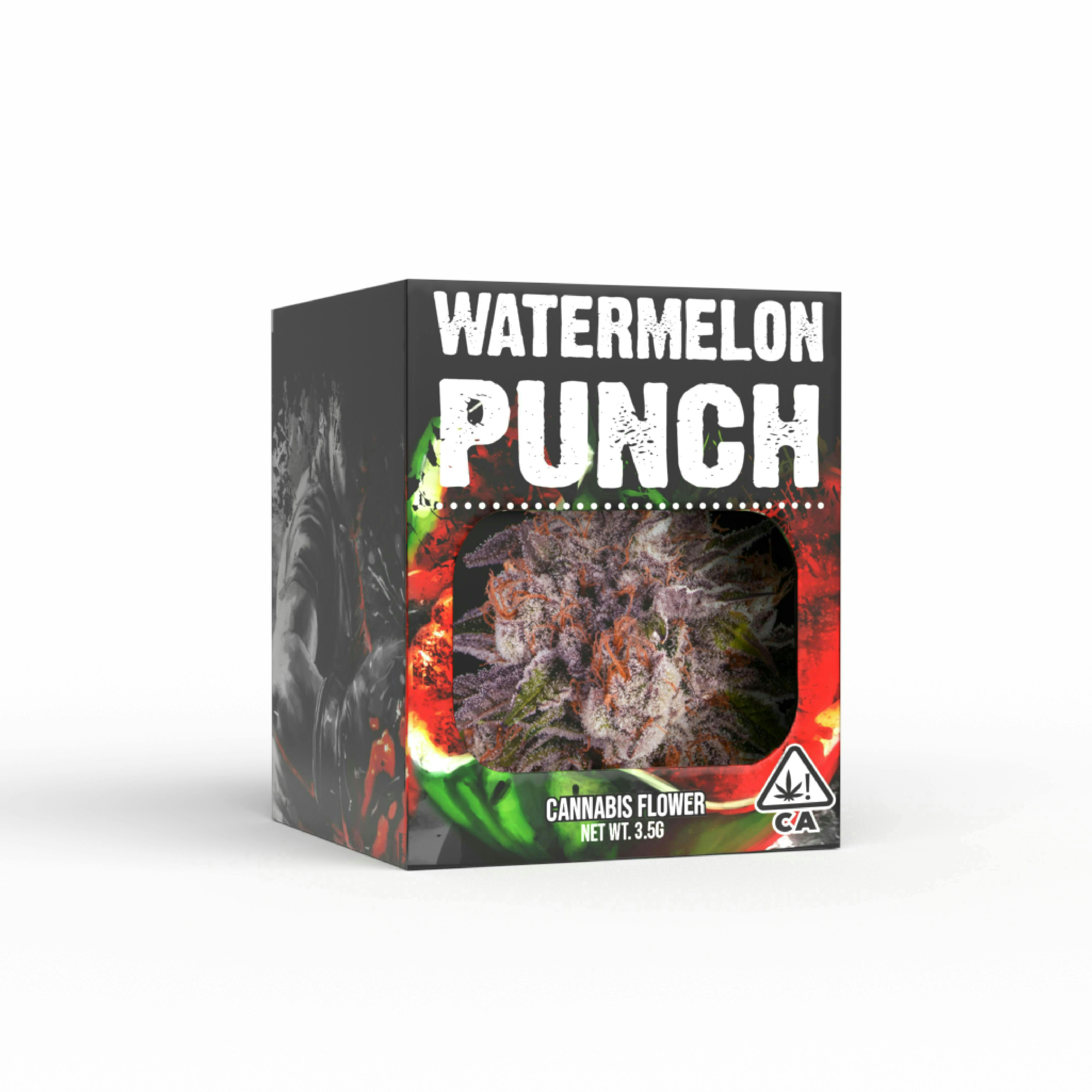 Decibel Gardens: Watermelon Punch