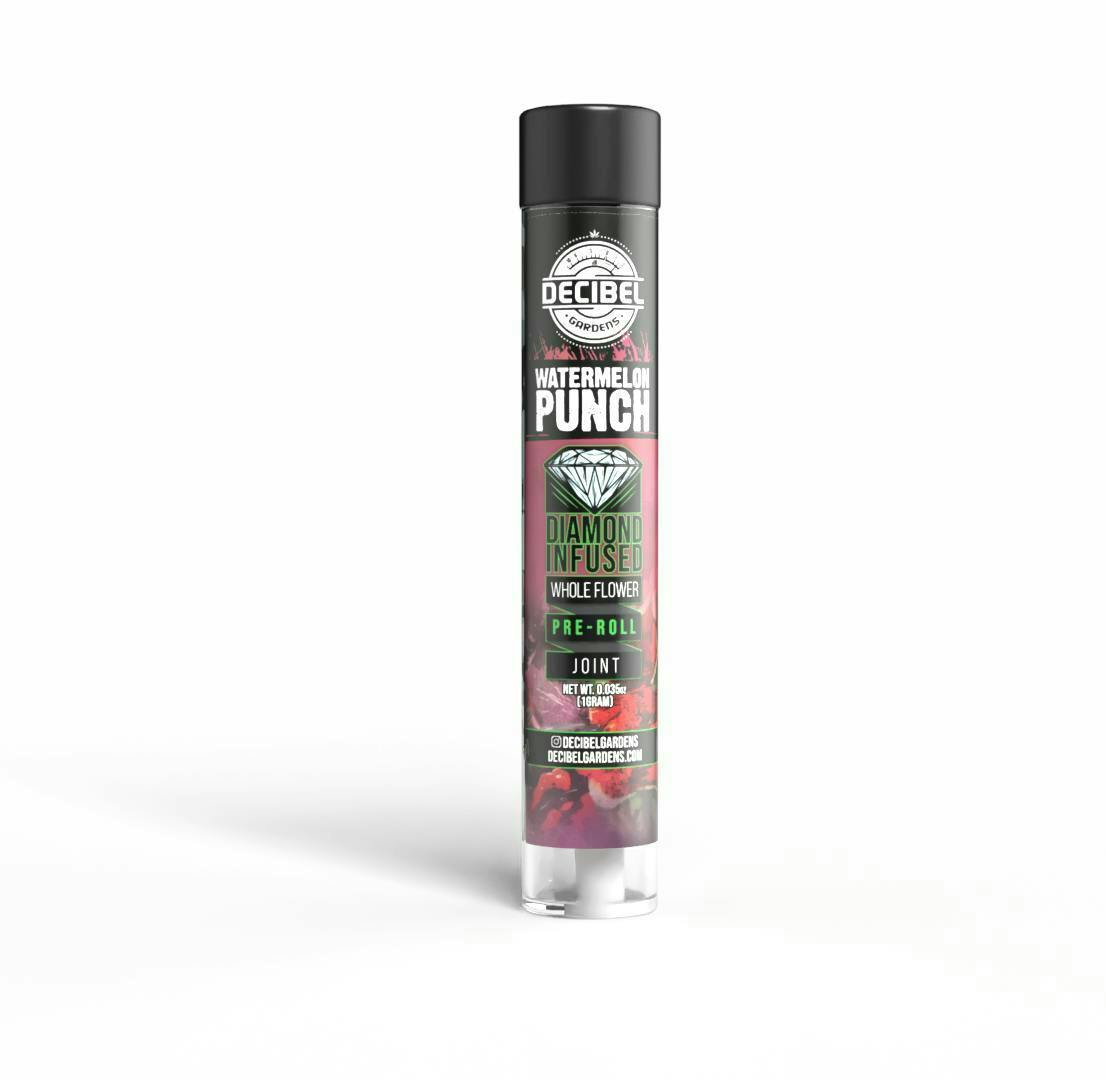 Decibel Gardens: Watermelon Punch