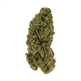 Smoakland: Gorilla Glue