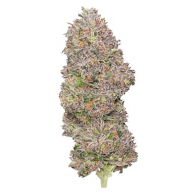 Jokerz Deli Flower
