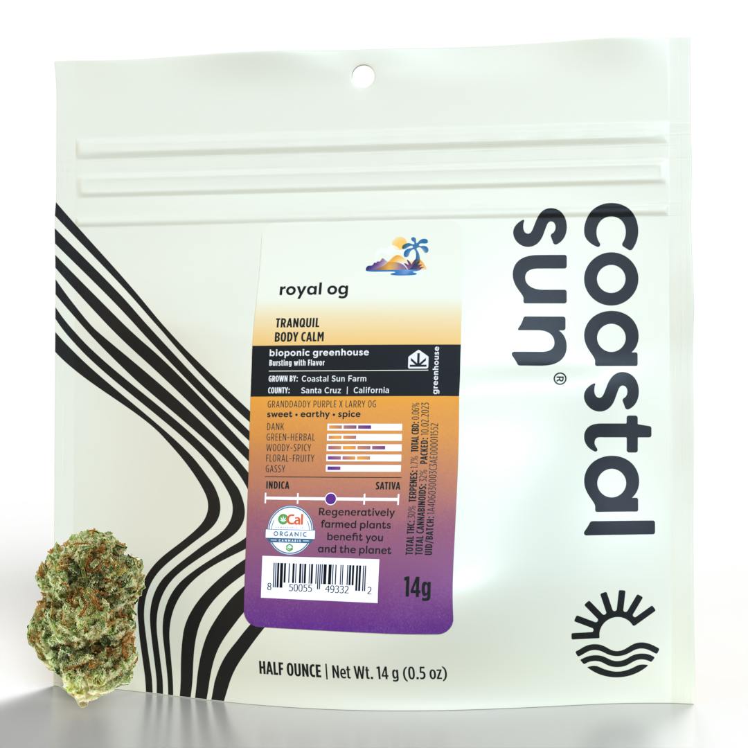 Coastal Sun — Royal Og