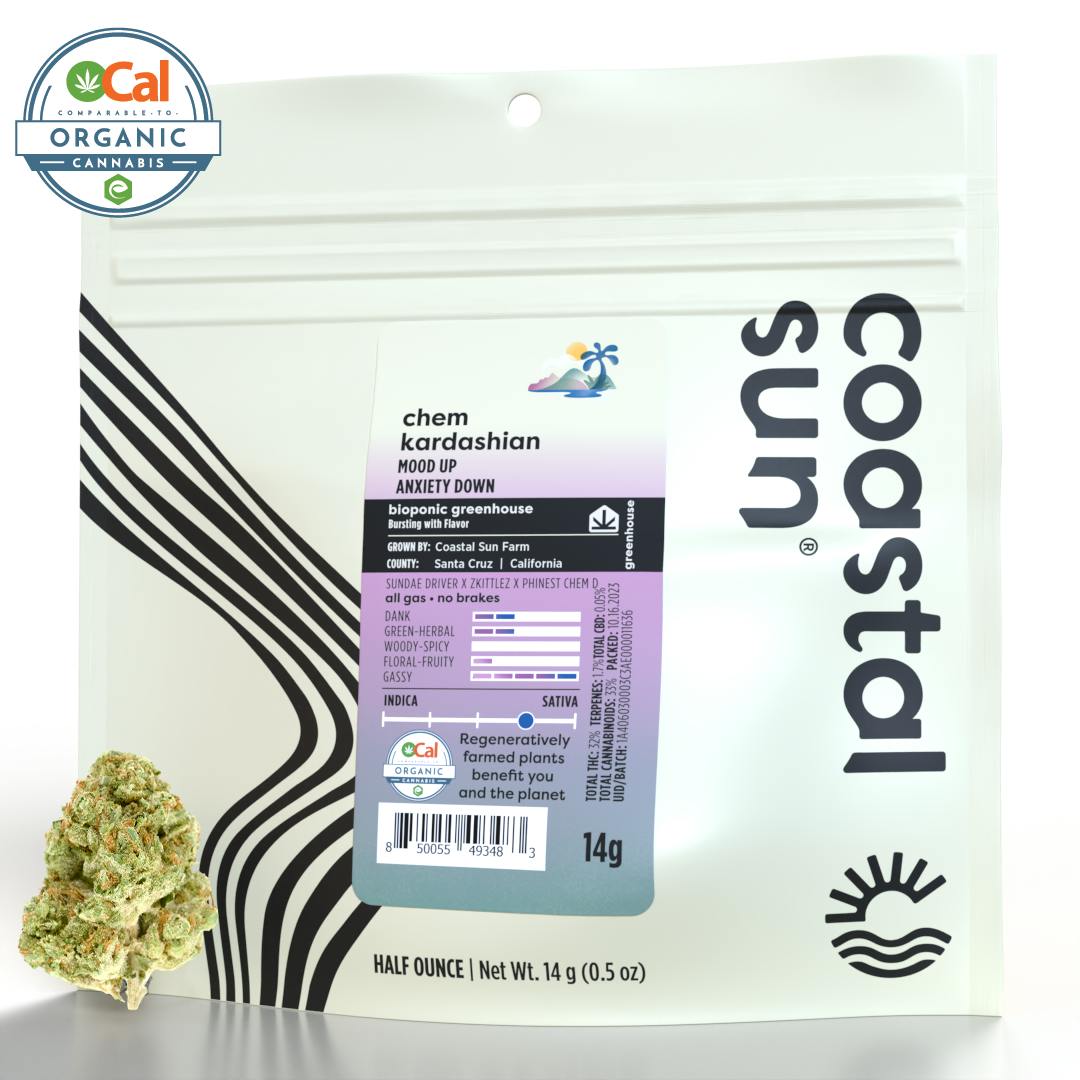 Coastal Sun — Chem Kardashian