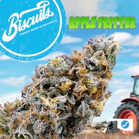 Apple Fritter - Flower