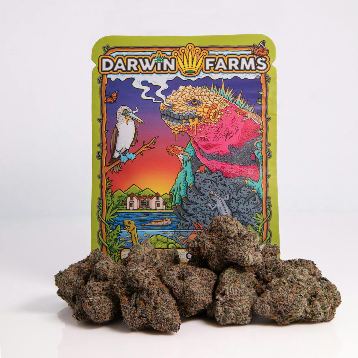 Sugar High - Darwin Farms