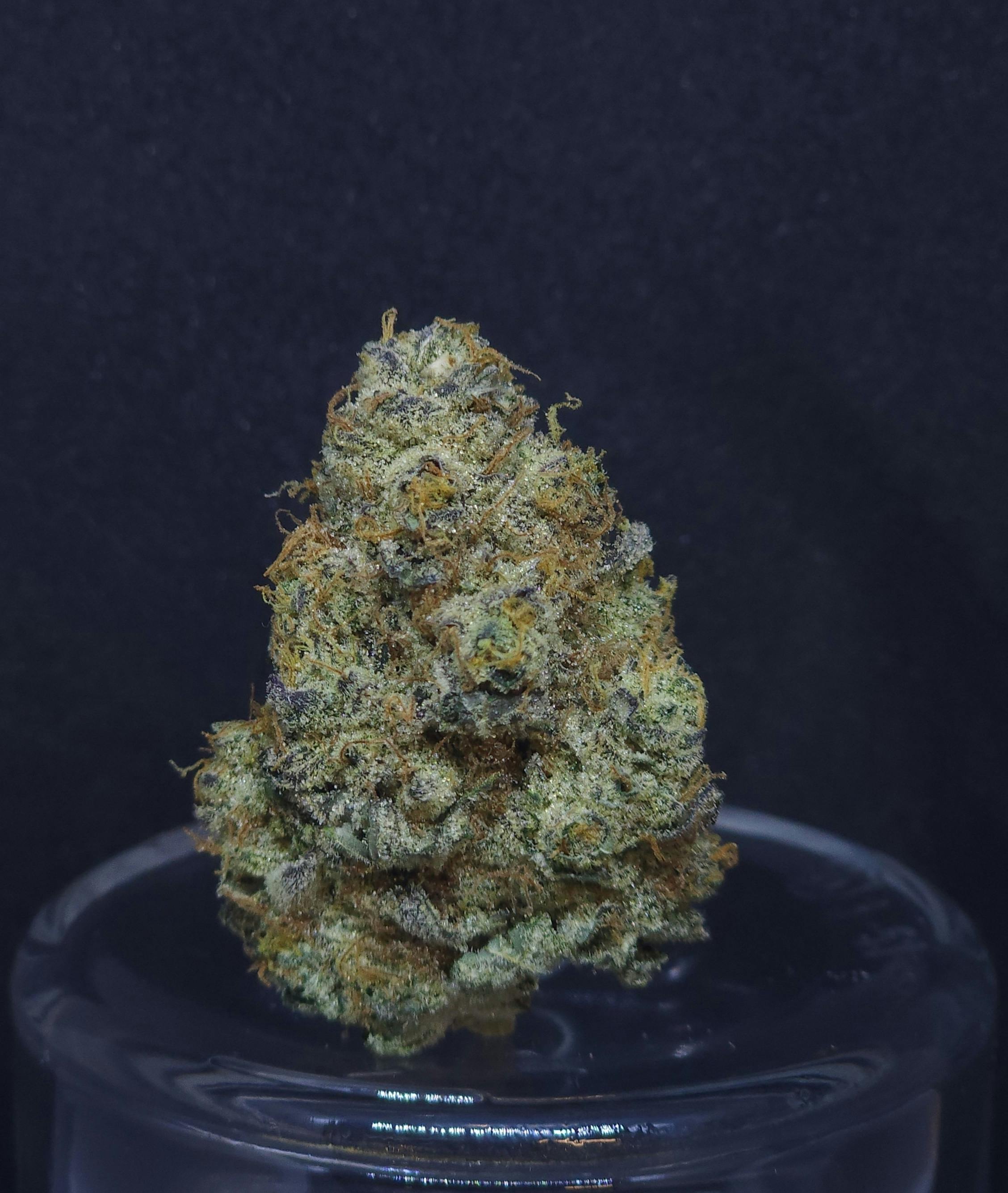 GMO Cookies .5g Pre-Roll