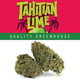 Lemonnade - Tahitian Lime - Greenhouse
