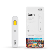 1g TURN All-In-One Vape - Cactus Cool 89%