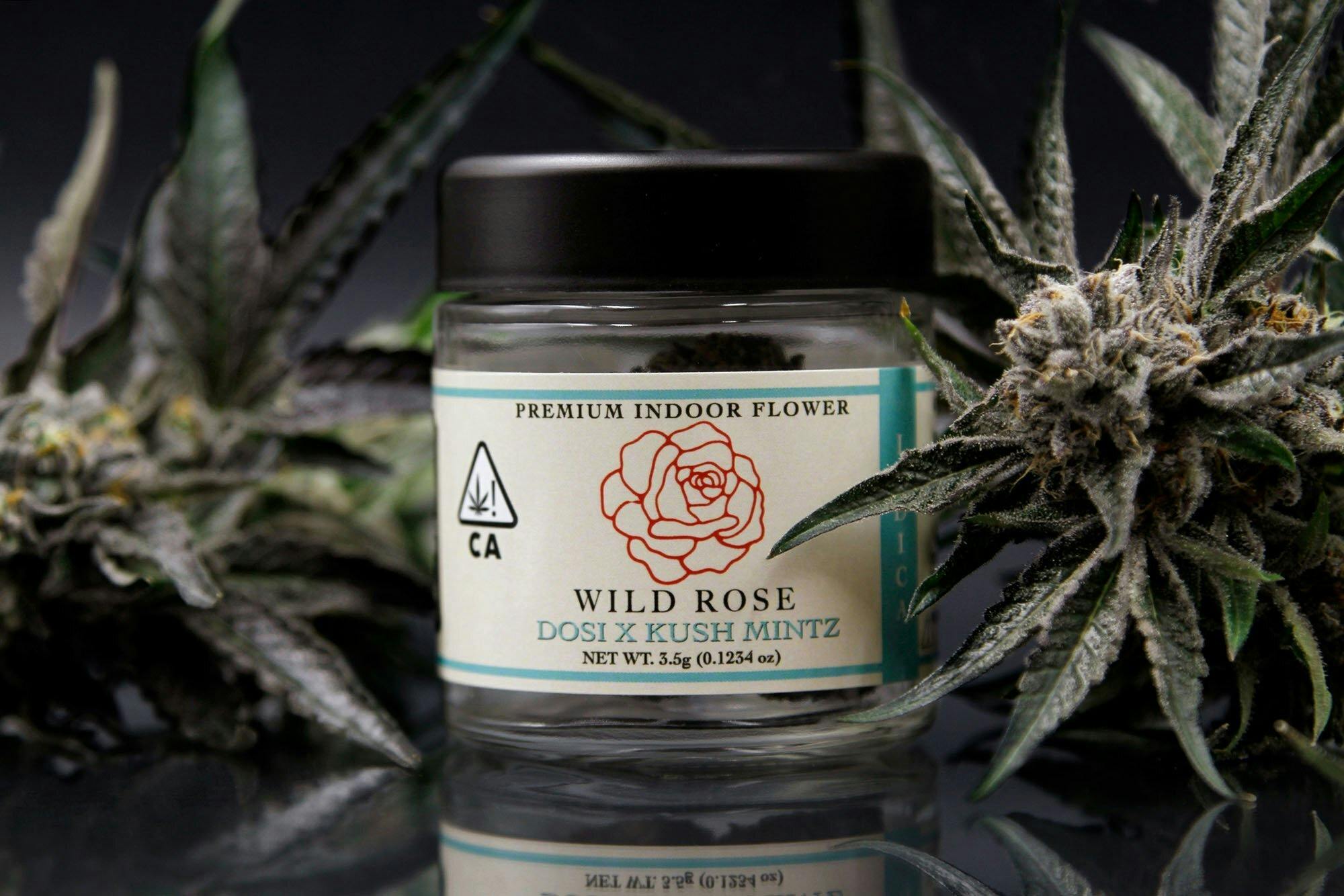 Premium Indoor Dosi: Kush Mints