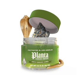 Cleopatra | Flower | 3.5g