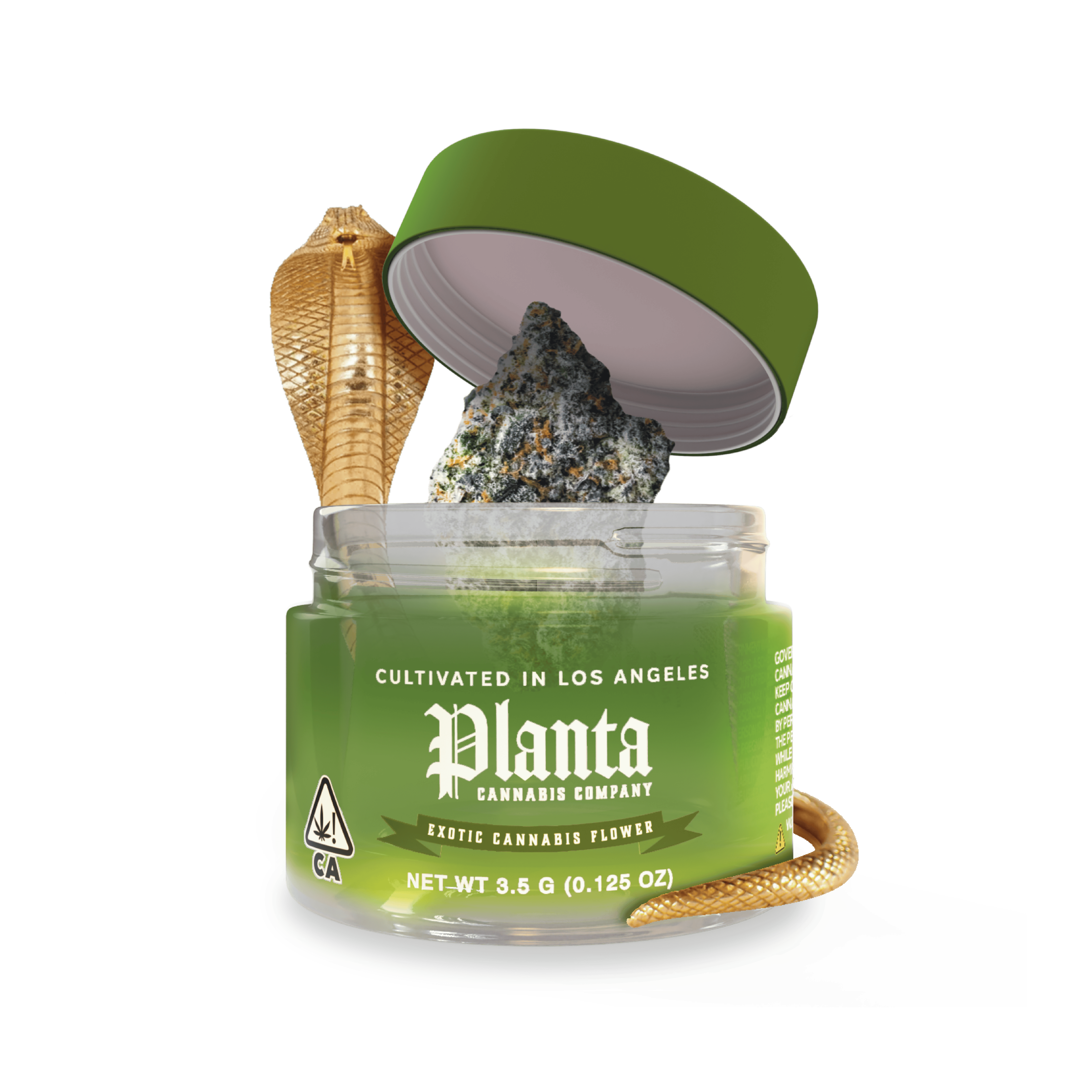 Planta Cannabis Co | Cleopatra | Big Buds | 3.5g - Planta Cannabis co