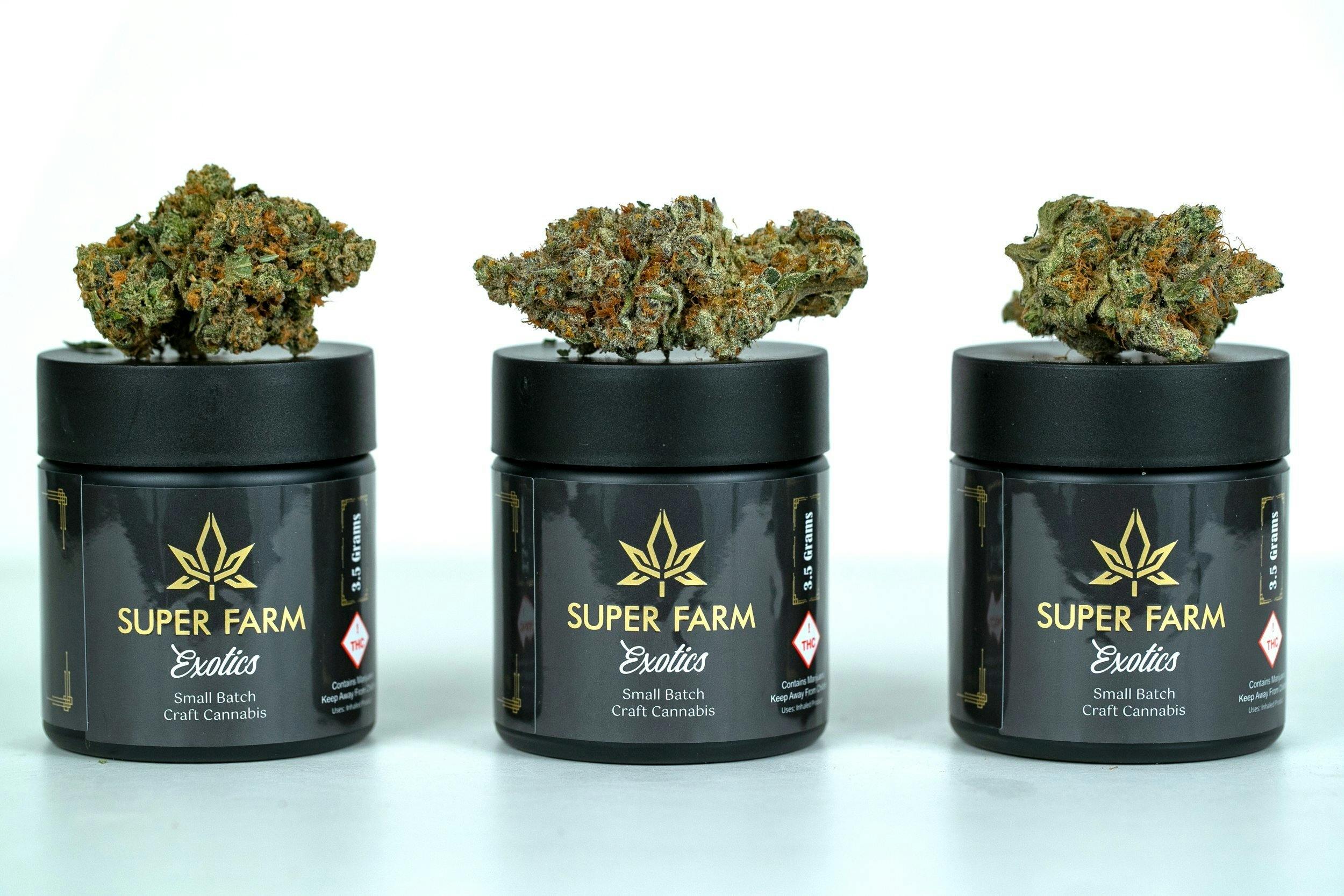 Super Farm Exotics Heavy Fog 1 3.5G Glass Jar Weedmaps