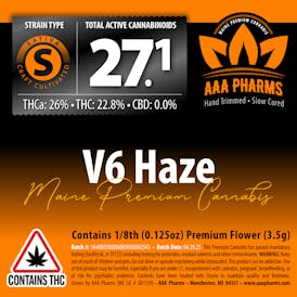 V6 Haze - Premium Flower
