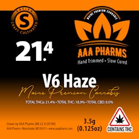 V6 Haze - Premium Flower