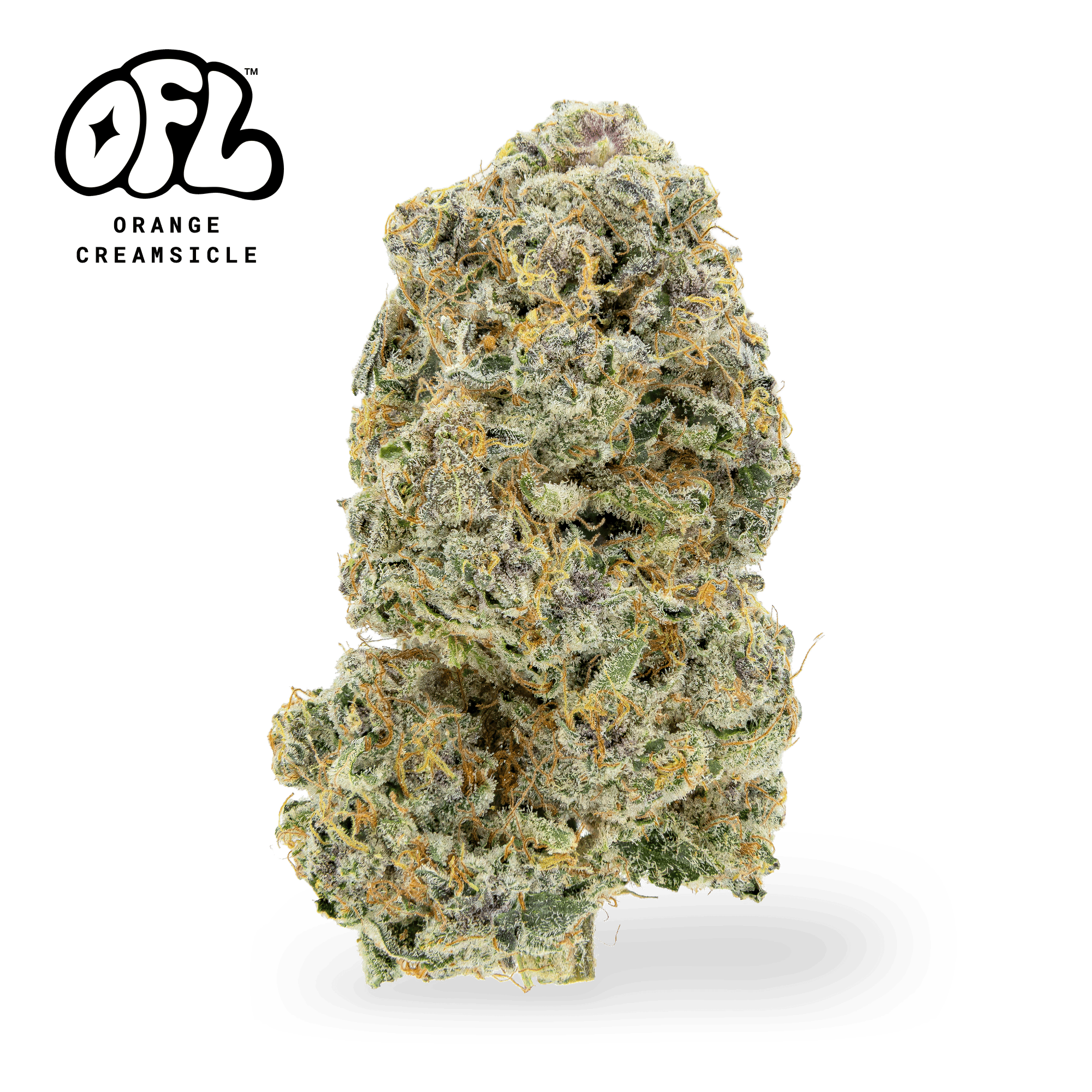 Orange Creamsicle | Big Buds | 7g