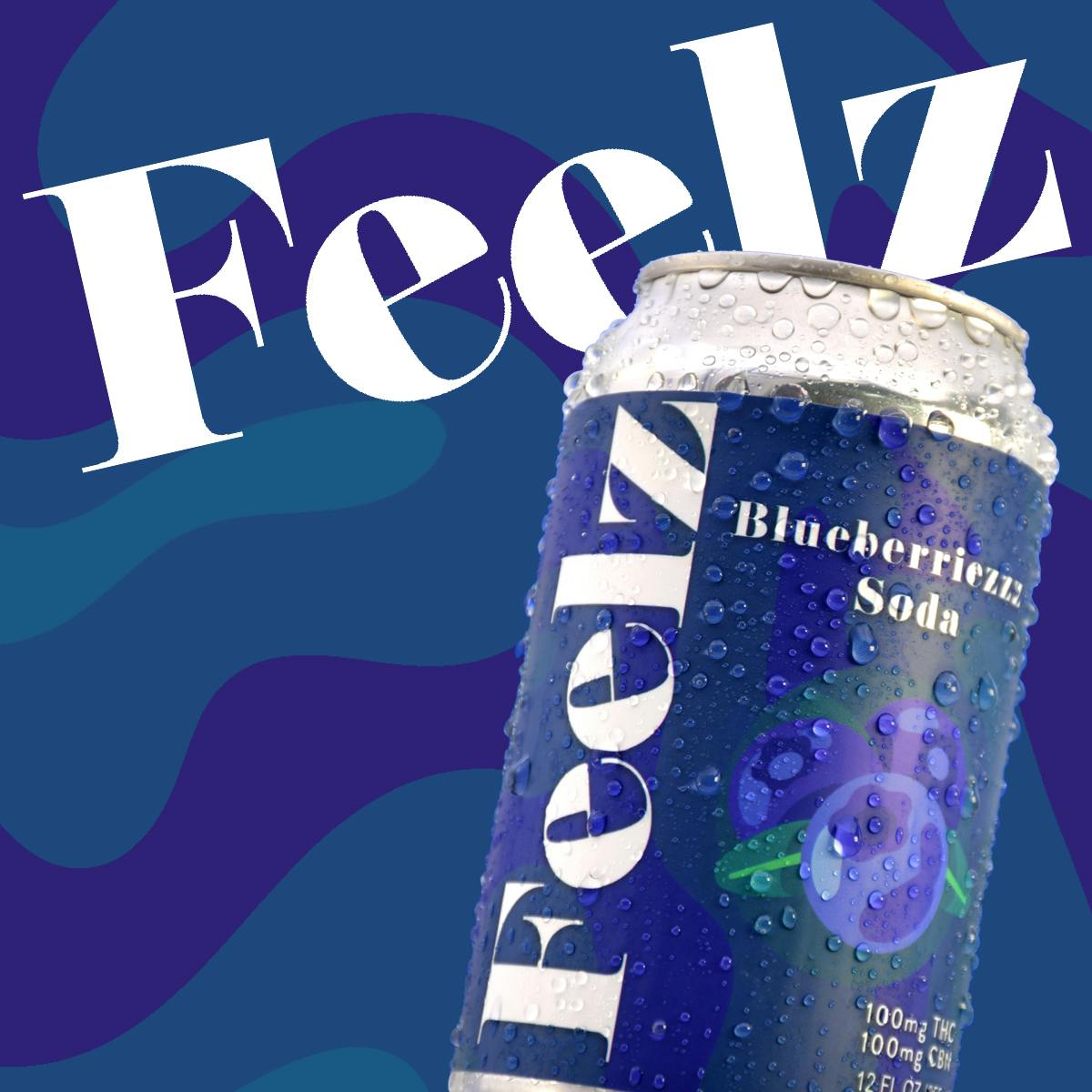 Feelz 100mg Blueberry CBN 1:1 Infused Soda Feelz | Weedmaps
