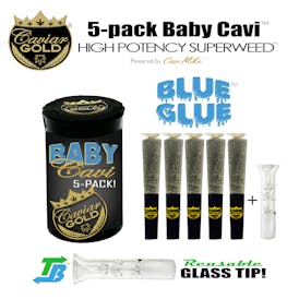 Caviar Gold l Baby Cavi l Blue Glue l 2.5g 5pk