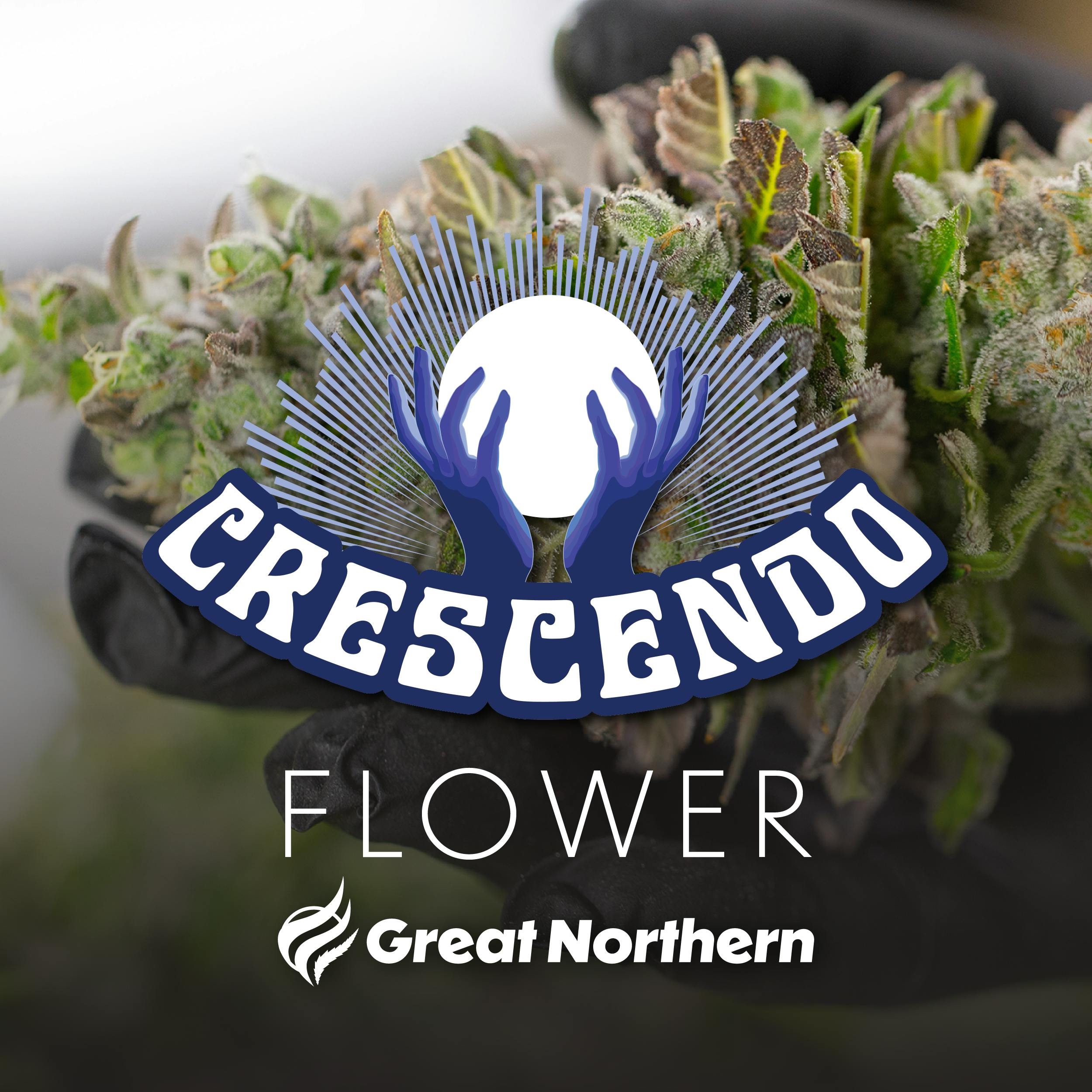 Great Northern Cannabis Crescendo Flower (Sativa) by Great Northern Cannabis
