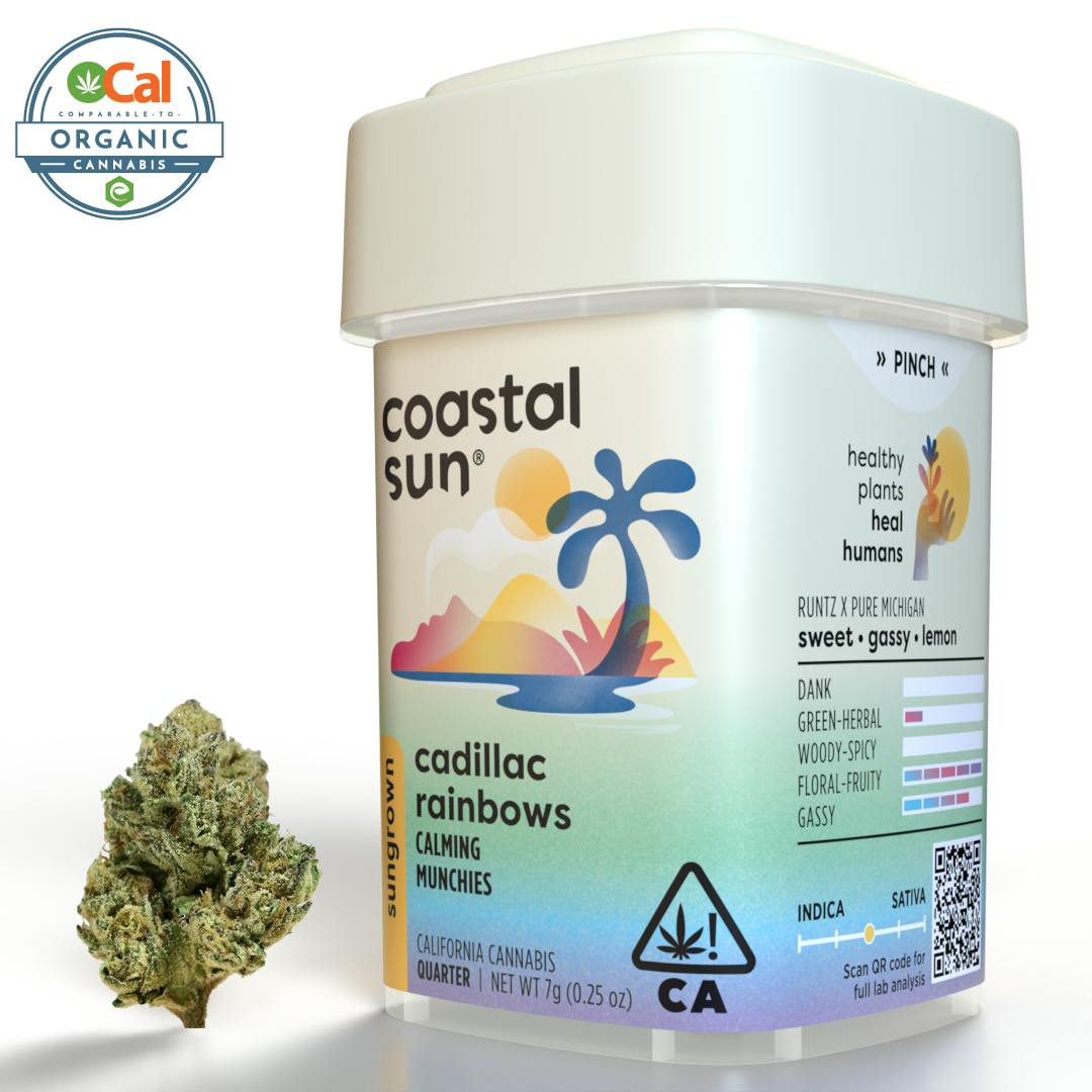 Coastal Sun — Cadillac Rainbow