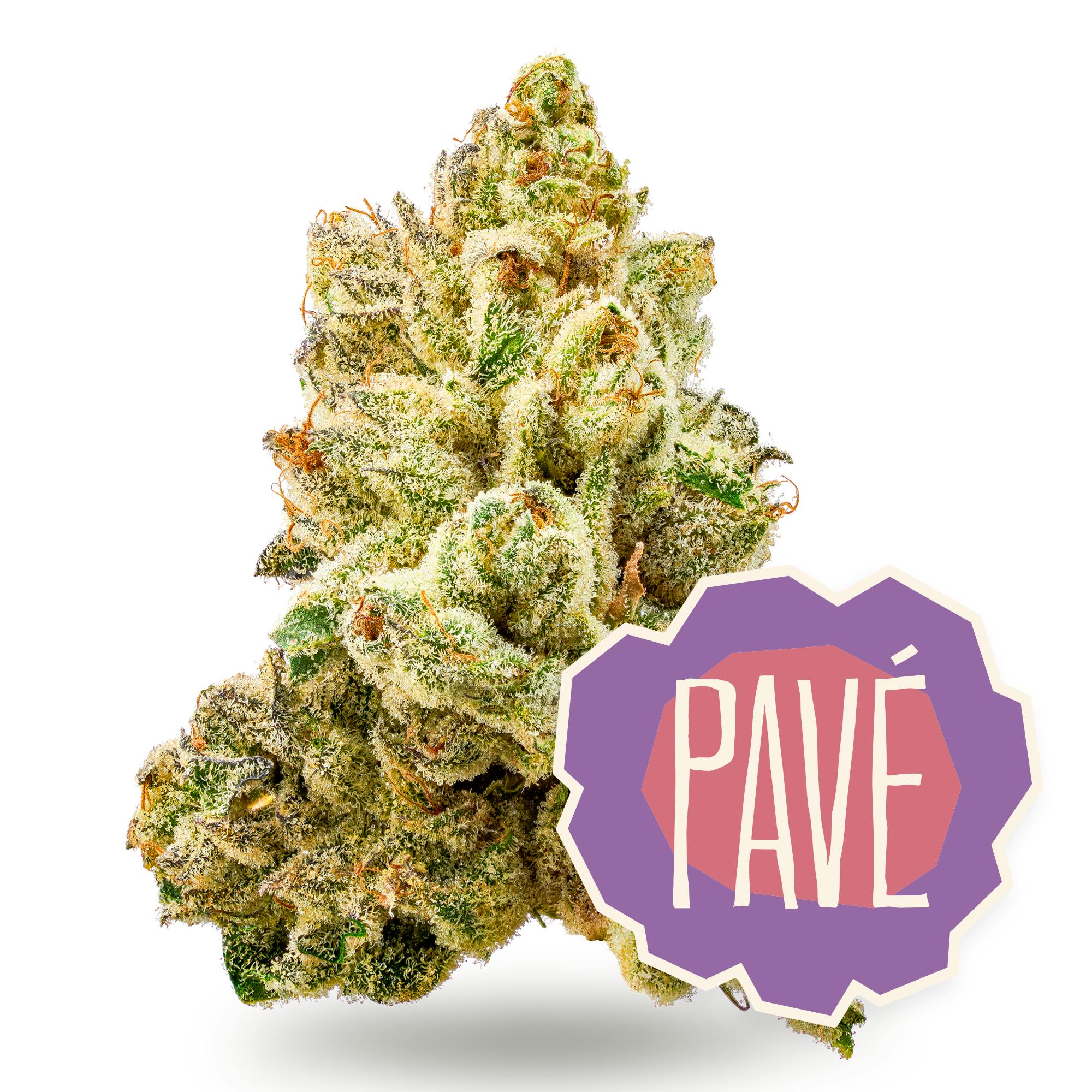 Pave Flower