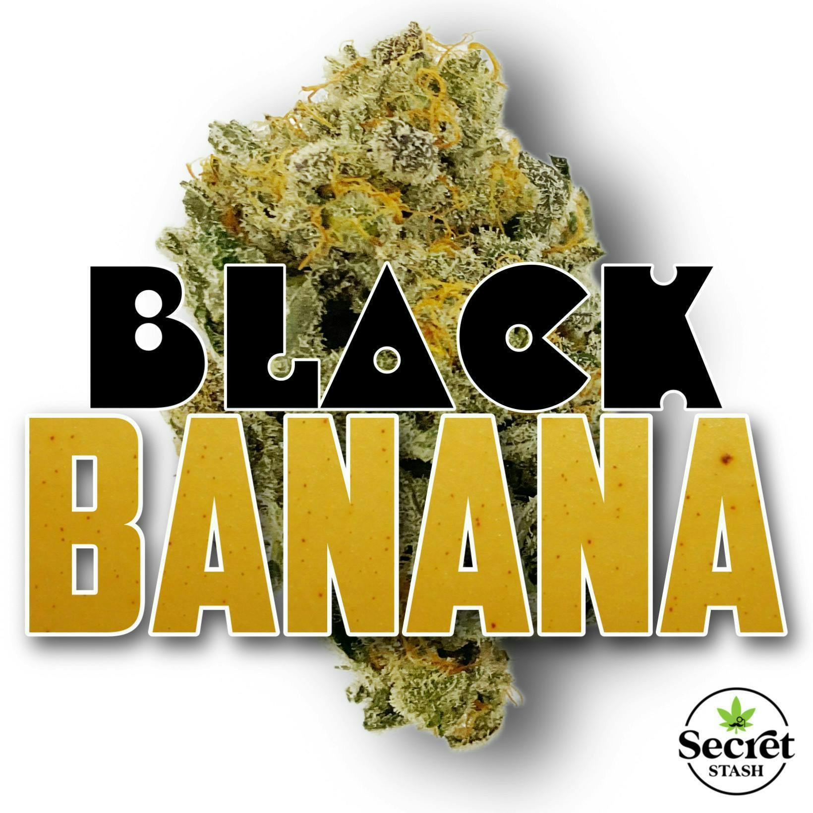 Secret Stash | Flower | Black Banana | G by Secret Stash