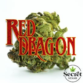 Secret Stash | Flower | Red Dragon | G