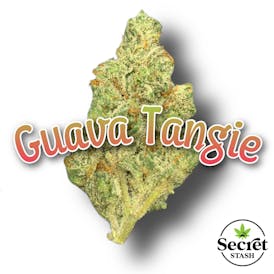 Secret Stash | Flower | Guava Tangie | G