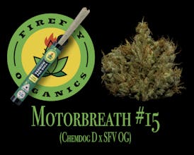 Motorbreath #15 - 1 Gram PreRoll