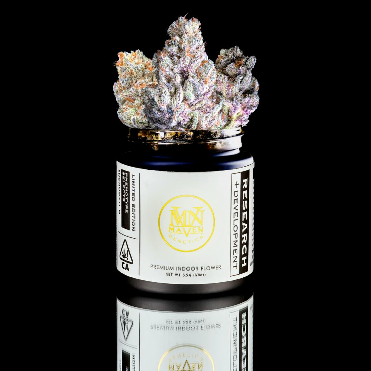 Blueberry Mac x Super Silver Haze Maven