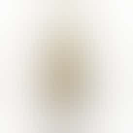 Exclusive - Blue Dream (S) - 28g