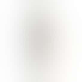 Pre Roll Single - BK Satellite (1g)