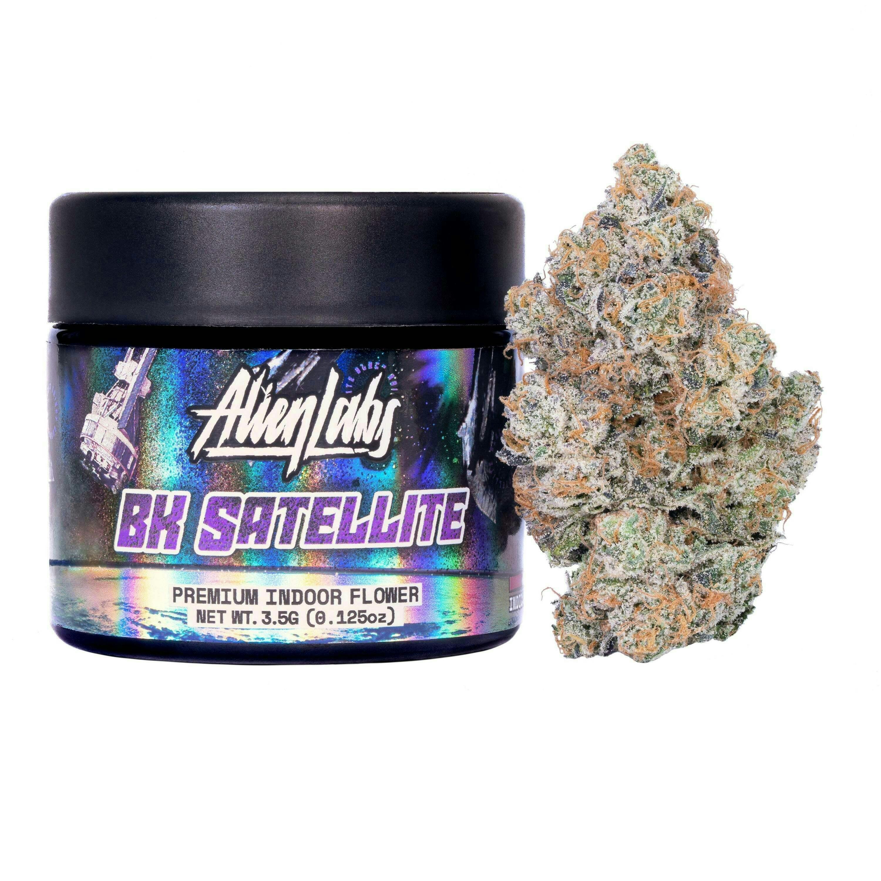Alien Labs — BK Satellite