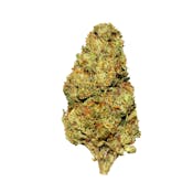 Eighthz - Obama Runtz - 3.5g