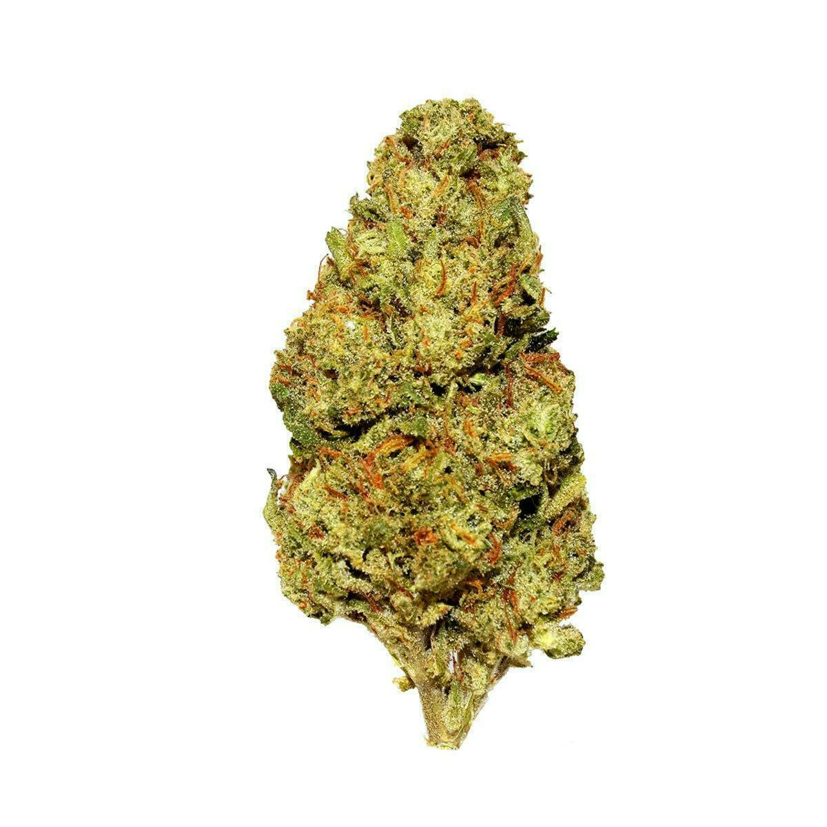 Smoakland: Gush Mintz