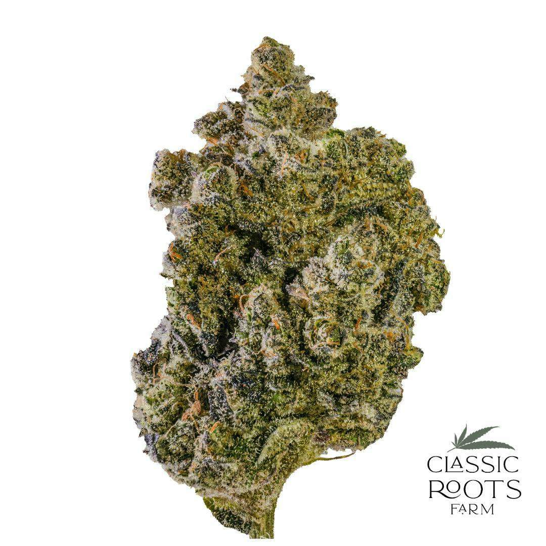Classic Roots Farm | LA Baker | Flower by Classic Roots Farm